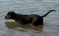 ...ganz schön nass hier... ... ich im Wasser